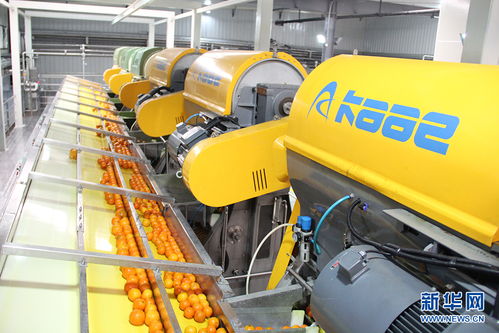 鄉味重慶老字號牛肉干的逆生長 電桿用滾焊機的新生